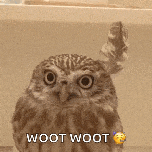 a close up of an owl with the words woot woot written below it