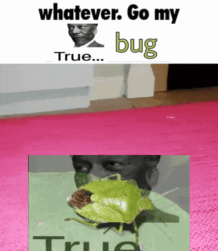 a picture of a bug with the words " whatever go my bug true " below it