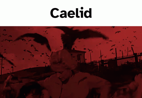 Caelid Caelid Birds GIF - Caelid Caelid Birds Kaperoo GIFs