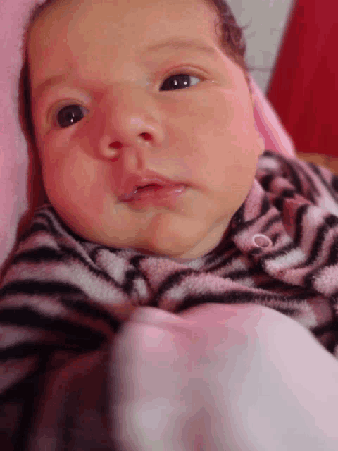 a baby wearing a pink and black striped blanket