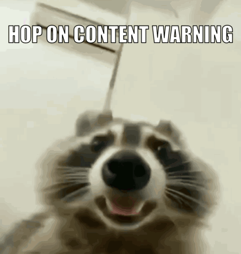 Racoon Content Warning GIF - Racoon Content Warning Hop On GIFs