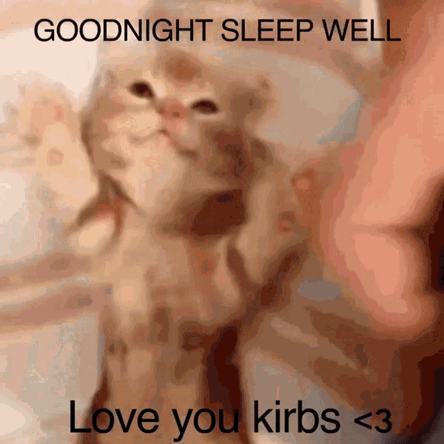 a picture of a cat with the words goodnight sleep well love you kirbs < 3 below it