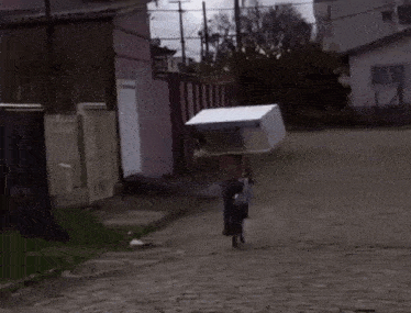 a person is carrying a fridge on their back on a cobblestone street