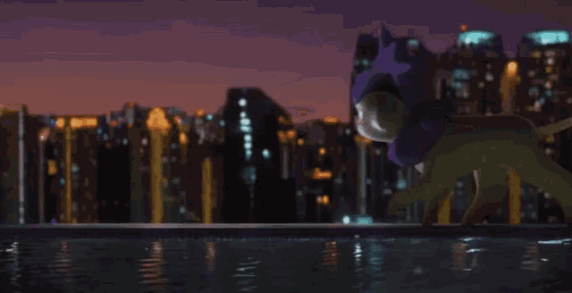 a cat with a purple hat is walking on the edge of a pool
