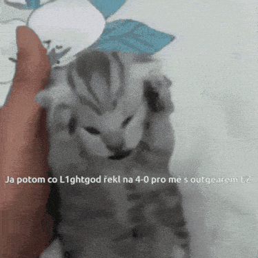 Imagine GIF