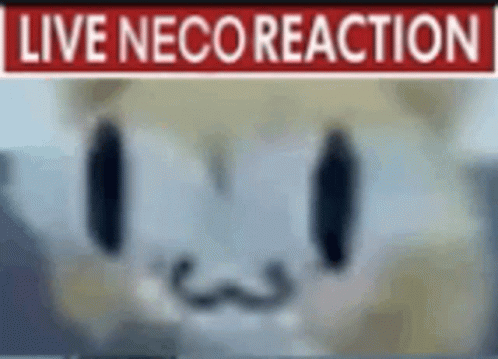 Neco Arc Live Slug Reaction GIF - Neco Arc Live Slug Reaction GIFs