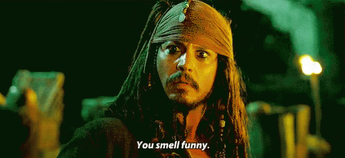 Pirates Funny GIF - Pirates Funny Smell GIFs