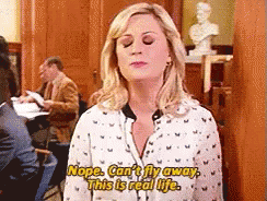 Parksandrec Nope GIF - Parksandrec Nope This Is Real Life GIFs