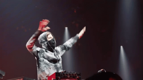 Hands In The Air Alan Walker GIF - Hands In The Air Alan Walker Entertaining The Crowd GIFs