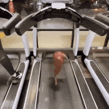 a person is running on a treadmill with a large piece of meat on the floor