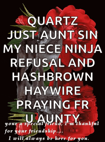 a poster that says quartz just aunt sin my niece ninja refusal and hashbrown haywire praying fr