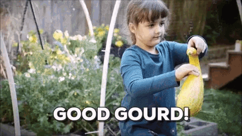 Ryan Chapman Gourd GIF - Ryan Chapman Gourd Good Lord GIFs