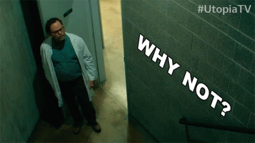 Why Not Rainn Wilson GIF - Why Not Rainn Wilson Michael Stearns GIFs