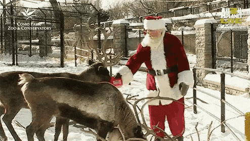 Santa Christmas GIF - Santa Christmas Deer GIFs