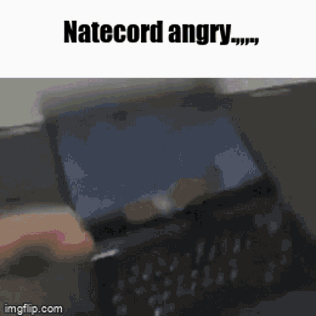 Natecord Big Chungus GIF - Natecord Big Chungus Fart GIFs