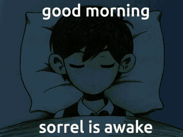 a poster of a boy sleeping with the words good morning sorrel is awake below him