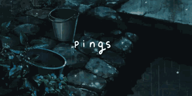 the word pings is written on a dark background