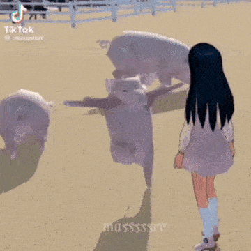 a girl is standing next to a herd of pigs in a field .