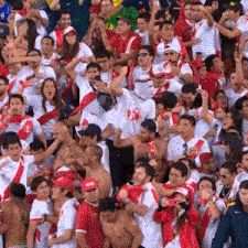 a crowd of people are gathered in a stadium and one of them is wearing a pearl hat