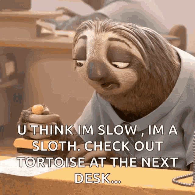 Sloth Tortoise GIF - Sloth Tortoise Slow GIFs
