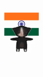 a black cat with an indian flag on its head is standing in front of an indian flag .