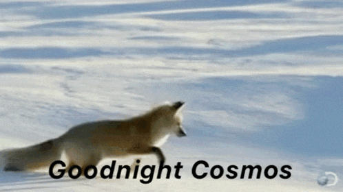 a fox is running through the snow with the words goodnight cosmos written below it