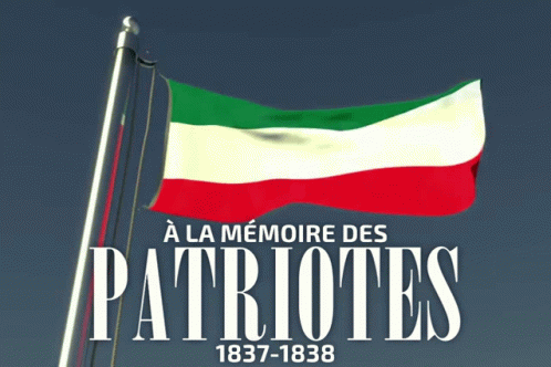 Patriotes Patriote GIF - Patriotes Patriote Quebec GIFs