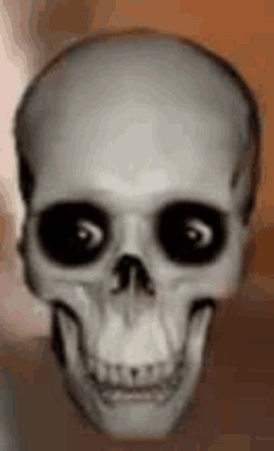 a close up of a skull with black eyes on a brown background .