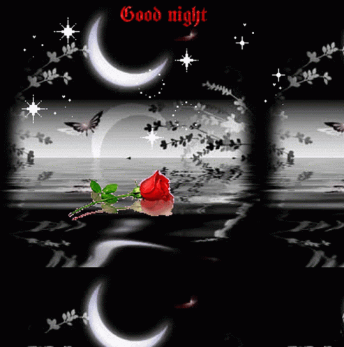 Good Night Moon GIF - Good Night Moon Water GIFs