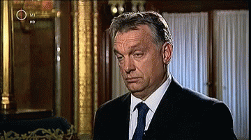 Bov Orbán GIF - Bov Orbán Viktor GIFs