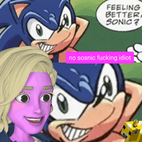 a cartoon of a girl and a cartoon of sonic the hedgehog with the caption " no sosnic fucking idiot "