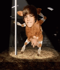 a picture of a cow with a human face on it