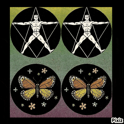 a picture of a man and a butterfly with the word pixiz on the bottom right