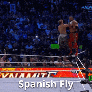 a wrestling match with the words spanish fly written on the bottom