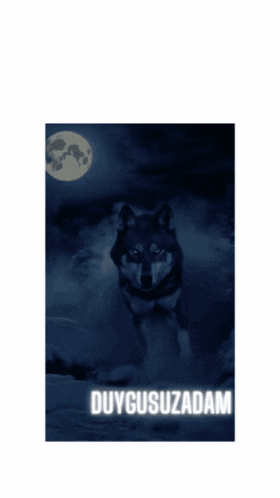 a book cover with a wolf and the word duygusuzadam