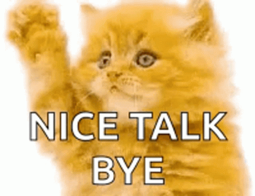 Bye Kitten GIF - Bye Kitten Nice Talk GIFs