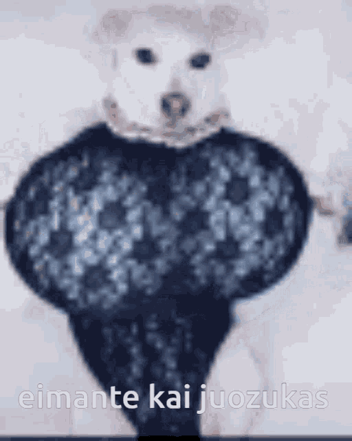 a blurred image of a dog wearing a black lace outfit with the words eimante kai juozukas below it