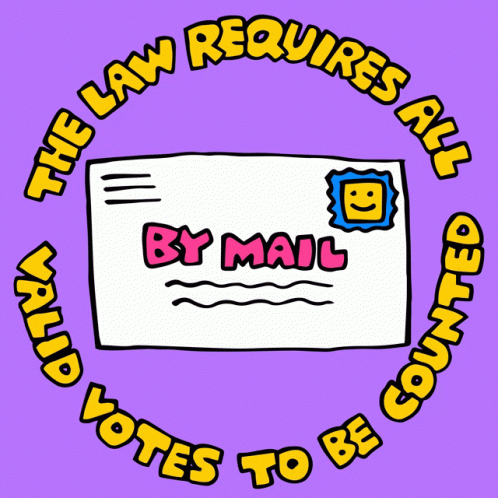 The Law Requires All Valid Votes To Be Counted Voting Law GIF - The Law Requires All Valid Votes To Be Counted Voting Law Votes To Be Counted GIFs