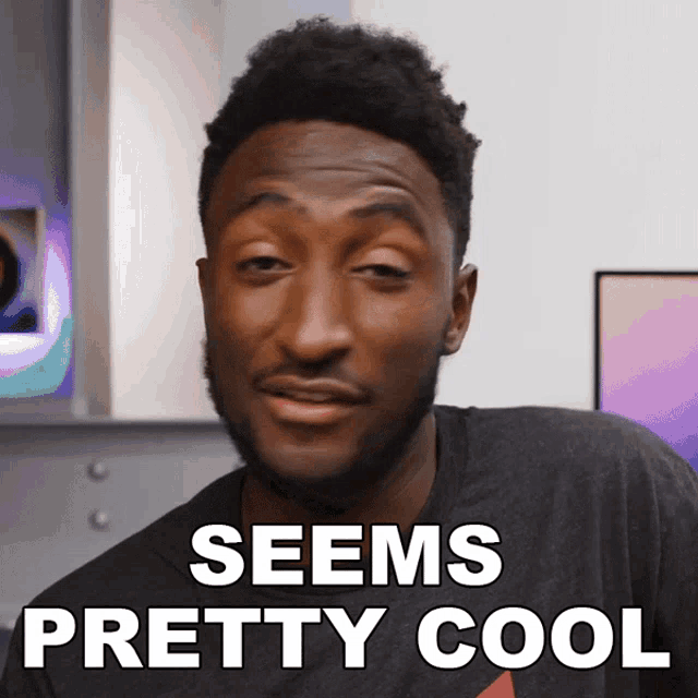 Seems Pretty Cool Marques Brownlee GIF