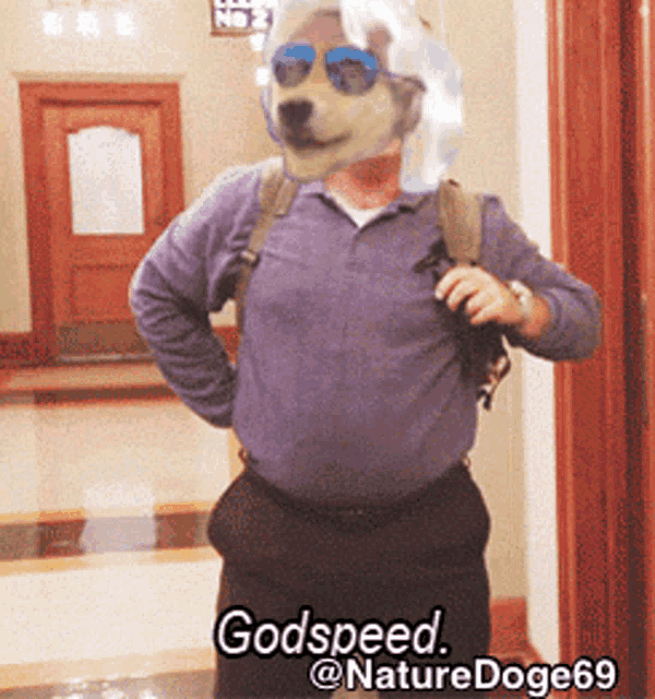 a man with a dog mask on his face and the words godspeed @ naturedoge69 below him