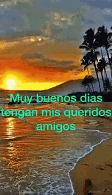 a sunset over a beach with palm trees and the words `` muy buenos dias tengan mis queridos amigos ''