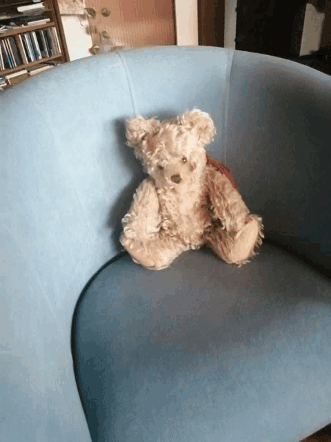 a teddy bear is sitting on a blue couch