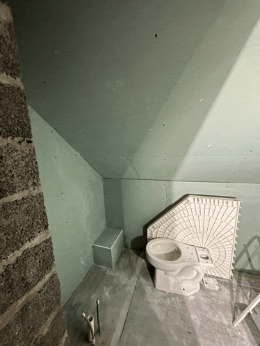 a white toilet sits in a corner of a bathroom