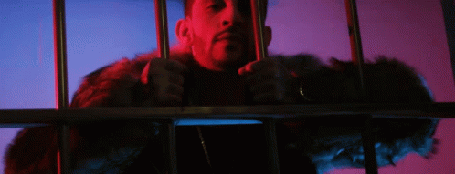 In Jail Stare GIF - In Jail Stare Busted GIFs