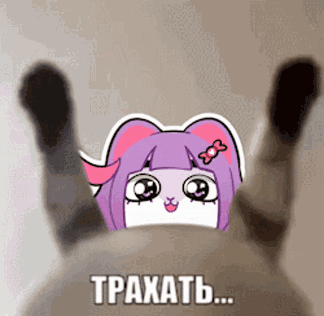 a cat with a sticker of a girl with a purple hair and a bow on her head
