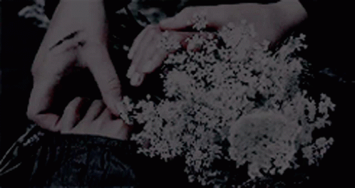Flowers Funeral GIF - Flowers Funeral Death GIFs