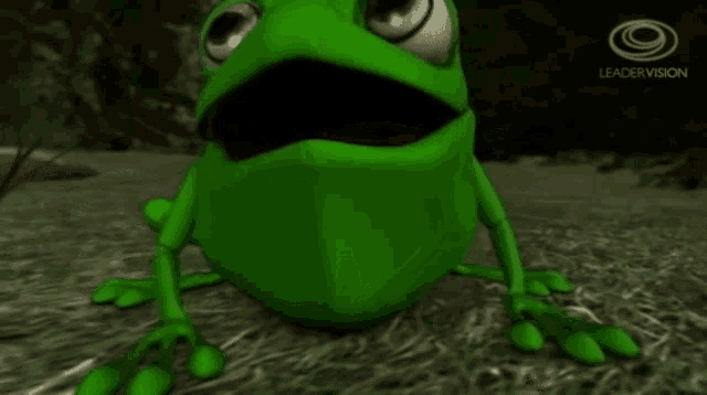 a green frog is sitting on the ground with the leadervision logo in the background