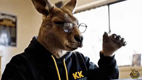 a kangaroo wearing glasses and a kk aussie shirt