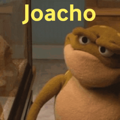 a stuffed animal with the name joacho on the top