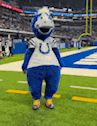 a mascot in a horse costume is standing on a field .